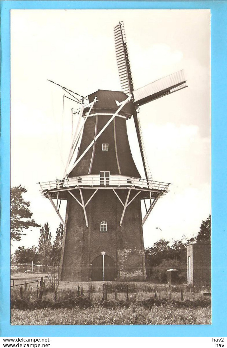 Winschoten Molen Berg ML1132 - Winschoten