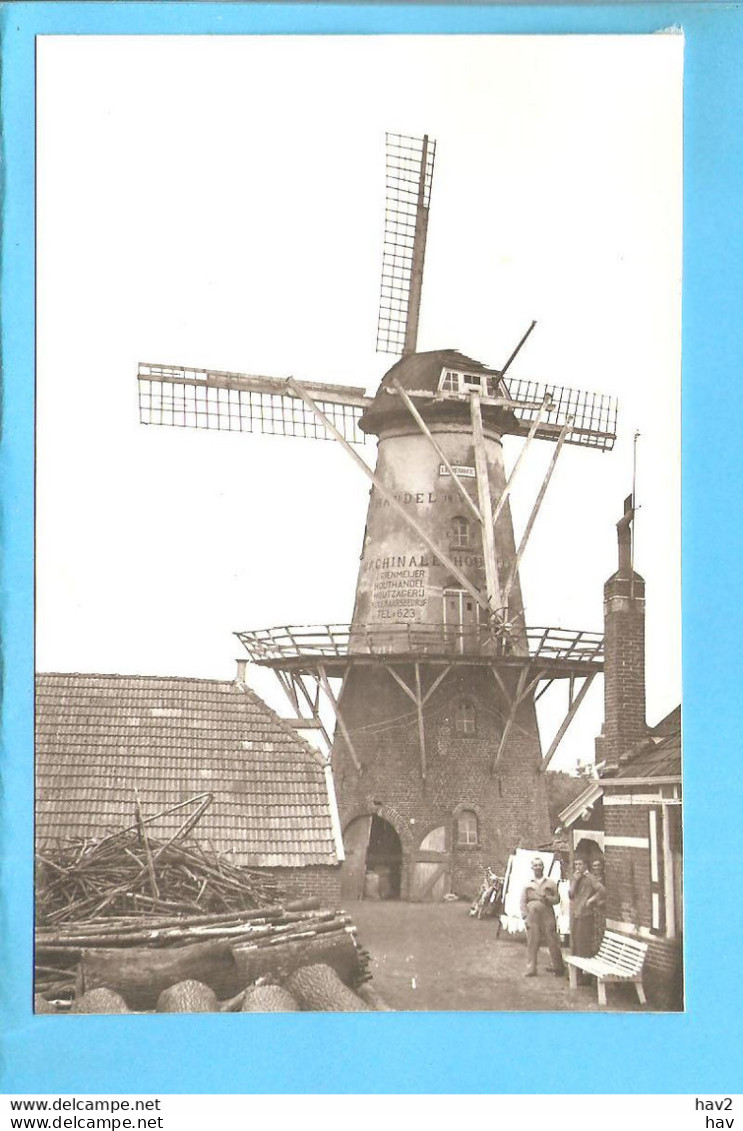 Winschoten Molen Esperance Repro/foto ML1149 - Winschoten