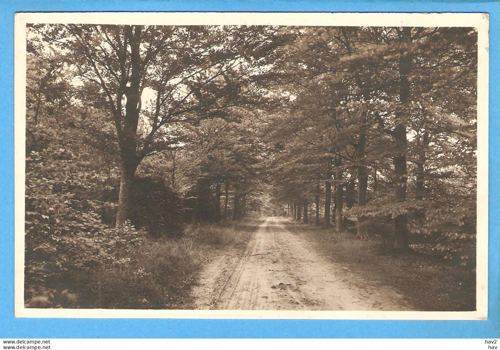 Ede Boslaantje Herstellingsoord 1937 RY52969 - Ede