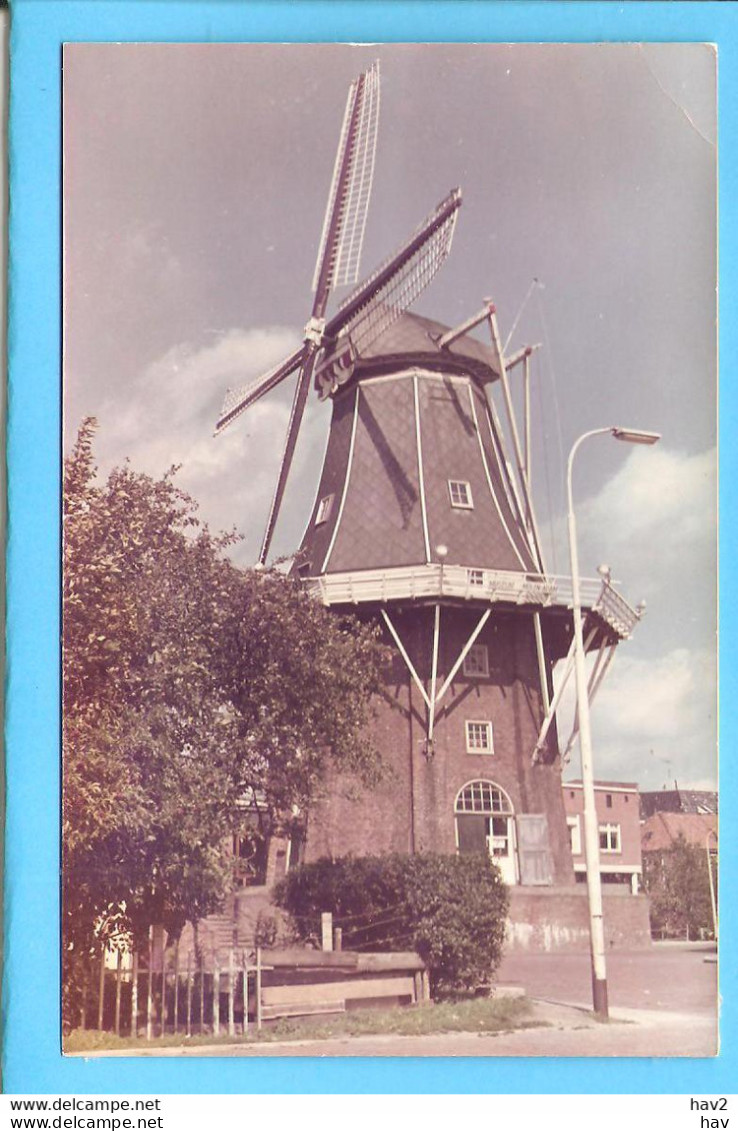 Delfzijl Op De Molenberg Molen Adam Foto ML859 - Delfzijl