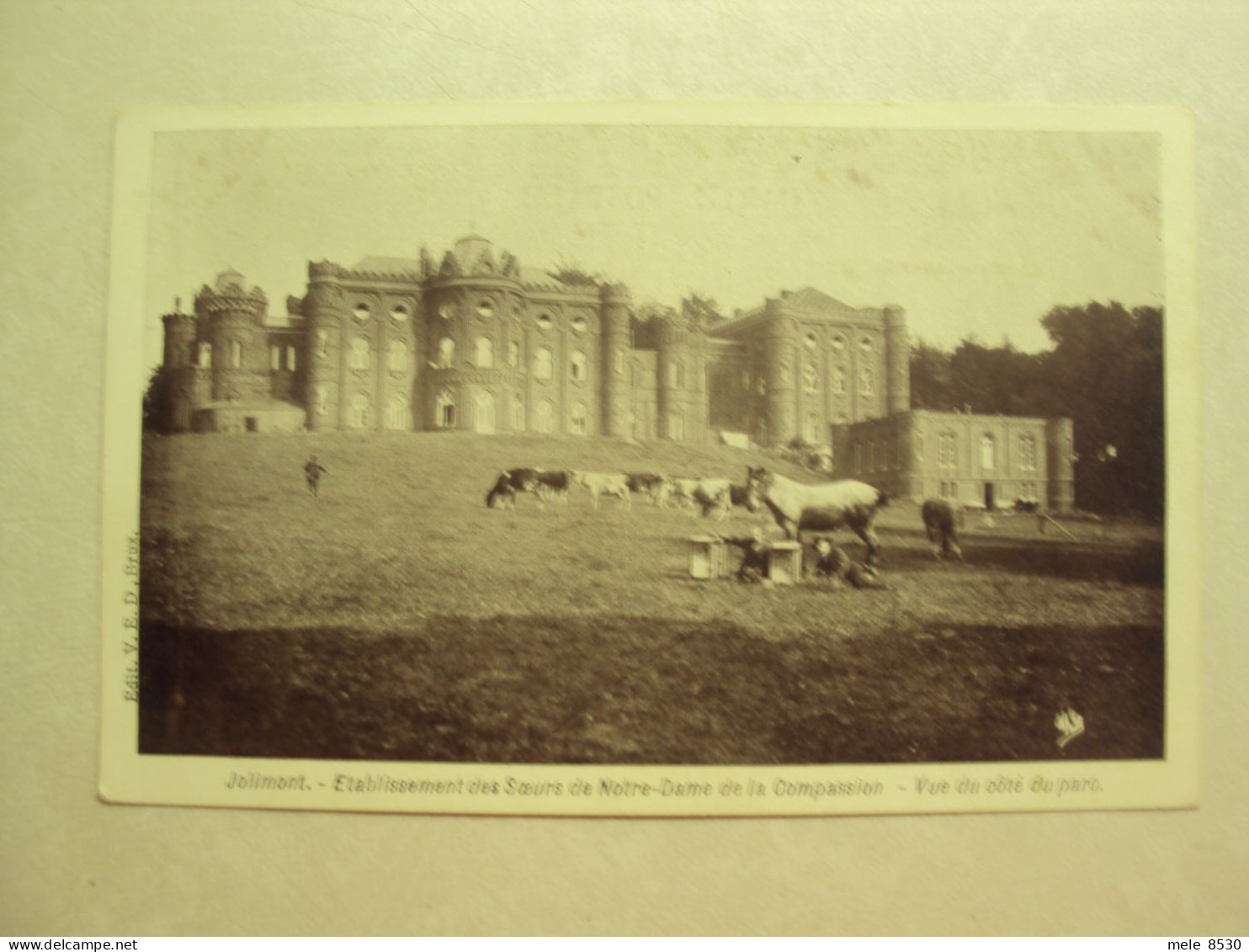 49490 - JOLIMONT - ETABLISSEMENT DES SOEURS DE  NOTRE-DAME DE LA COMPASSION - VUE DU COTE DU PARC - ZIE 2 FOTO'S - La Louvière