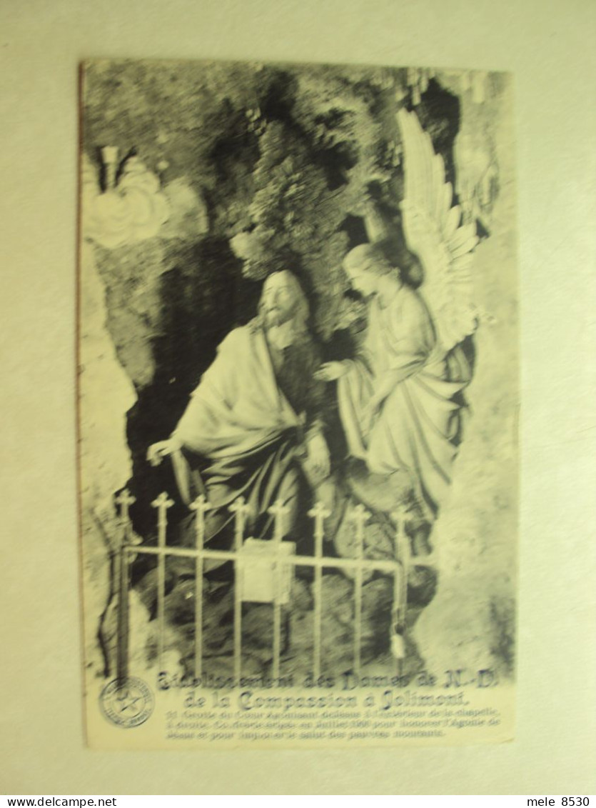 49491 - JOLIMONT - ETABLISSEMENT DES SOEURS DE  NOTRE-DAME DE LA COMPASSION - GROTTE DU COEUR - ZIE 2 FOTO'S - La Louvière