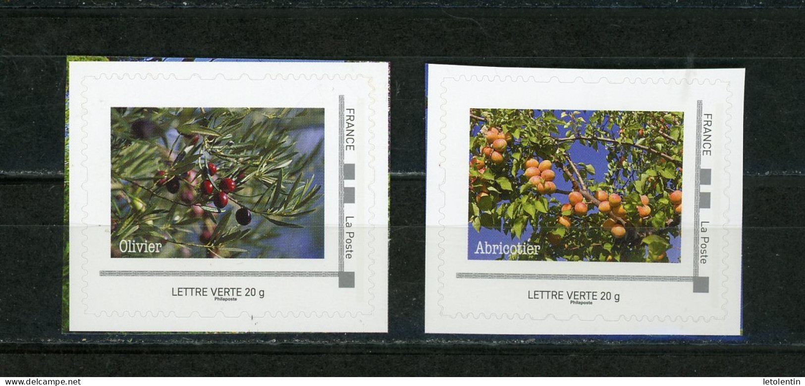 FRANCE - PERSONNALISÉS - FRUITS D'ETE -  N° Yvert  (IDT) **  LETTRE VERTE 20g - Unused Stamps