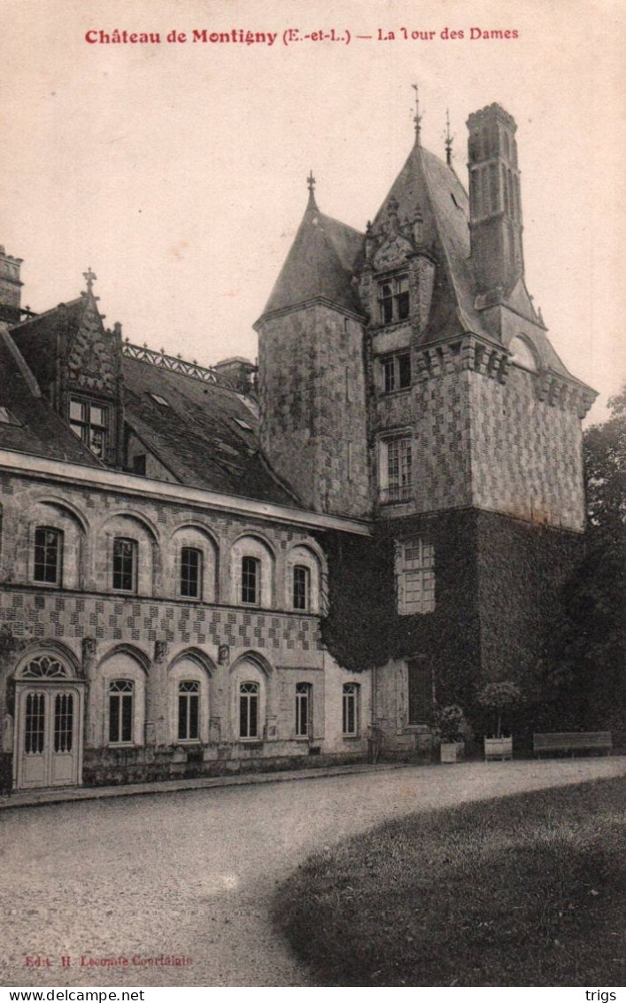 Montigny (Château) - La Tour Des Dames - Montigny-le-Gannelon