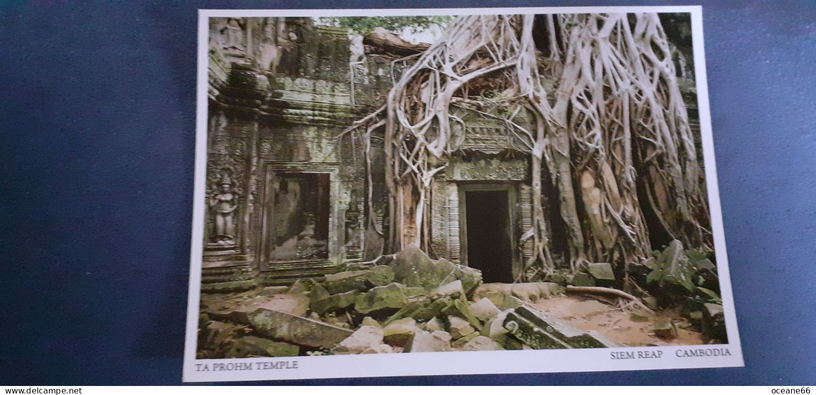 Cambodia Ta Prohm Yemple Siem Reap - Cambodge