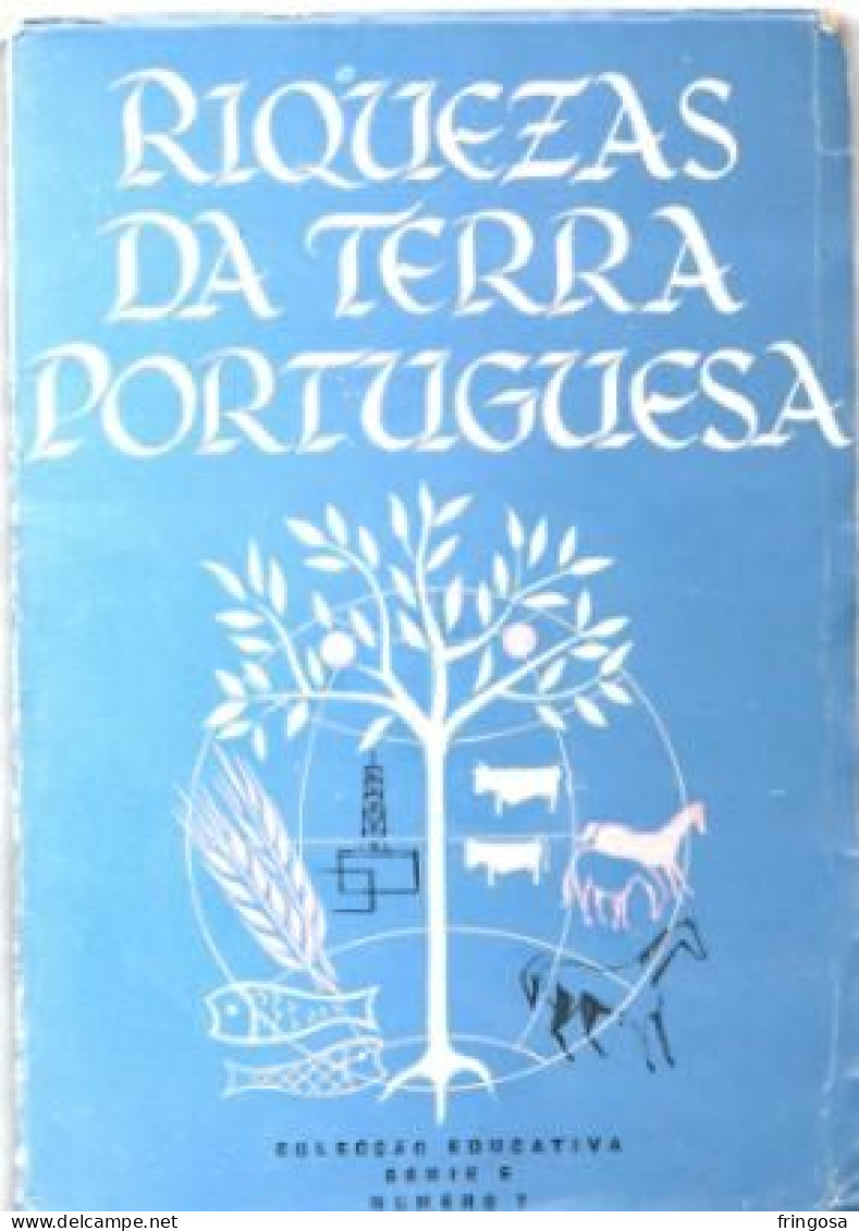 PORTUGAL: RIQUEZAS DA TERRA PORTUGUESA, 1957 - Livres Anciens