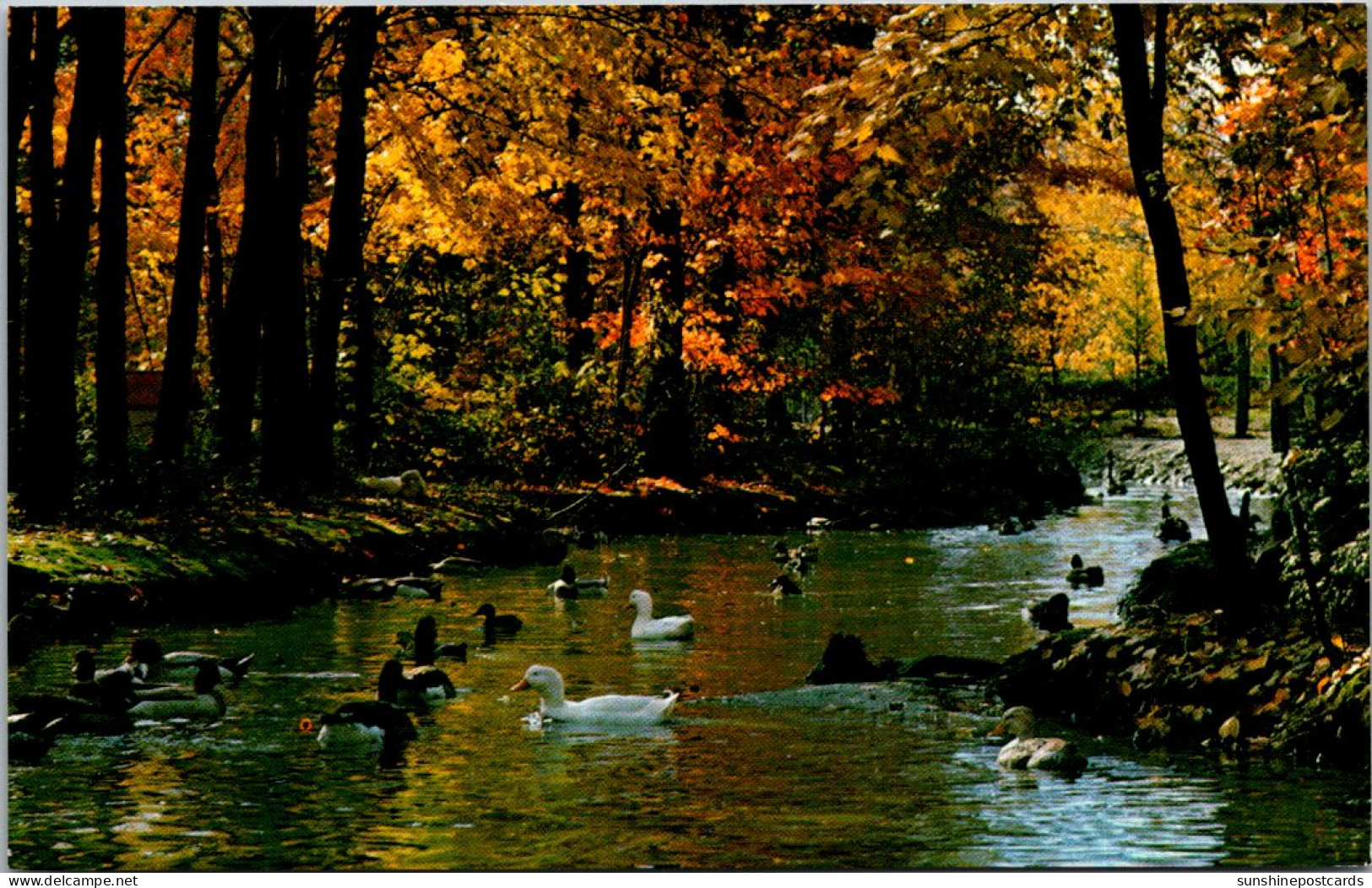 Canada Granby Zoological Garden Wild Docks - Granby