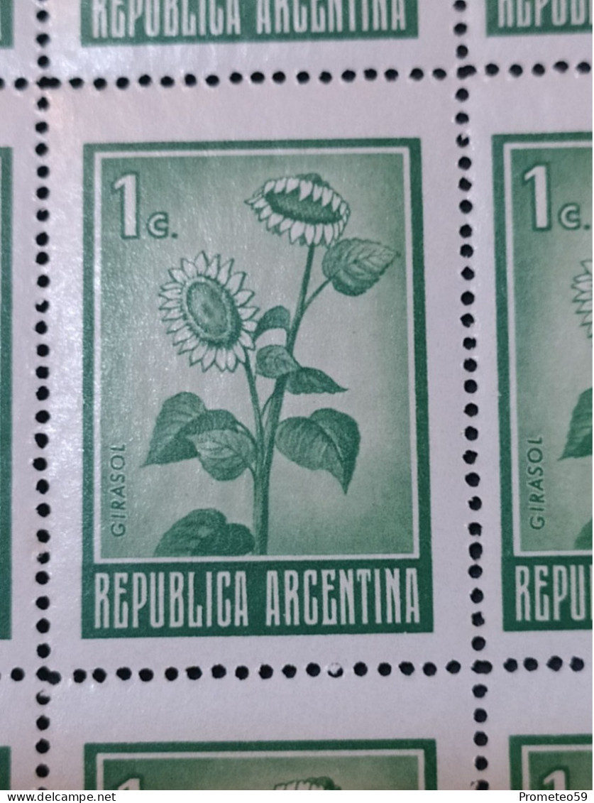 Fragmento Plancha 20 Estampillas Argentinas Con Complementos – Valor: 1 Centavo – Año: 1971 – Imagen: Girasol – Sin Usar - Blocks & Kleinbögen