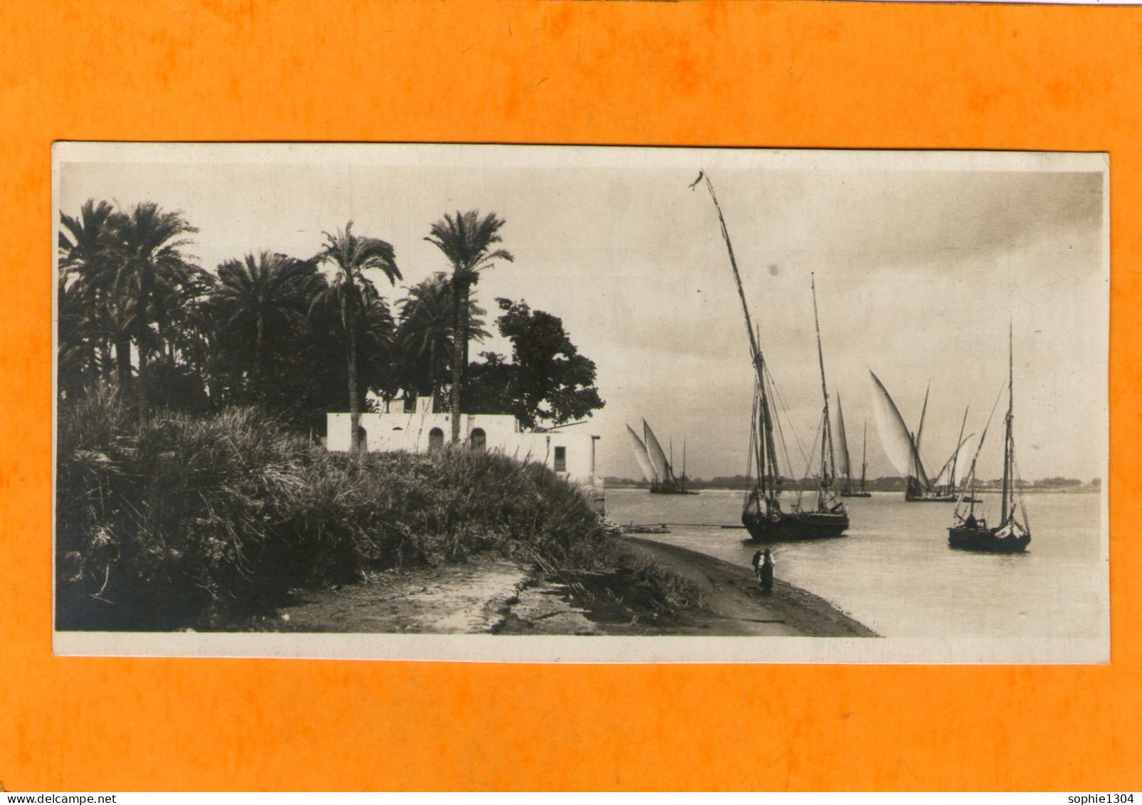 Carte-Photo - EGYPT - On The Banks Of The Nile - EGYPTE - Au Bord Du Nil - - Other & Unclassified