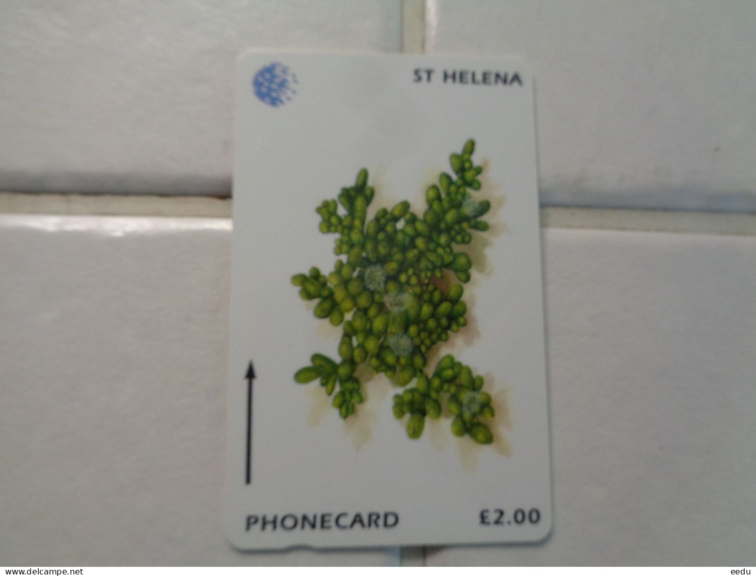 St.Helena Island Phonecard - Isola Sant'Elena