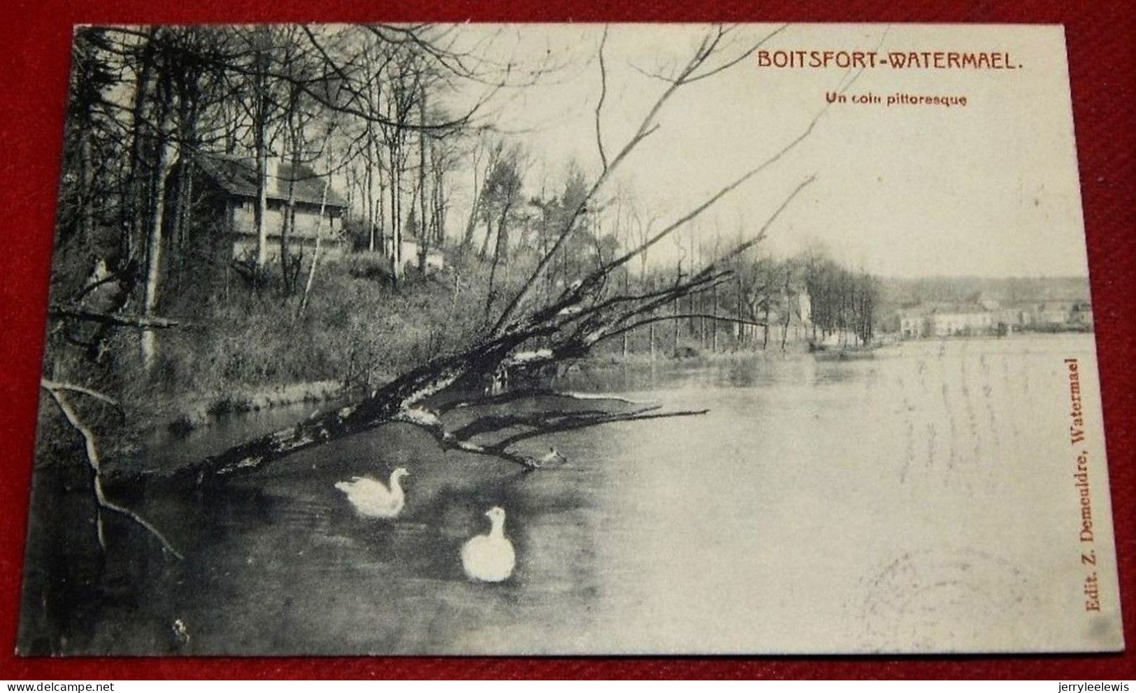 BRUXELLES -    WATERMAEL BOITSFORT   -     Un Coin Pittoresque  -  1911 - Watermael-Boitsfort - Watermaal-Bosvoorde