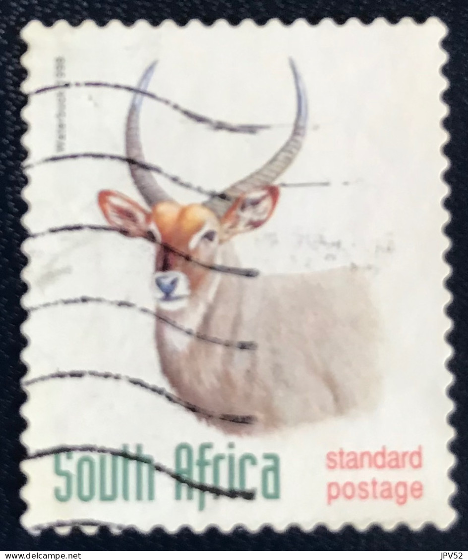 RSA - South Africa - Suid-Afrika  - C18/8 - 1998 - (°)used - Michel 1128 - Inheemse Dieren - Usati