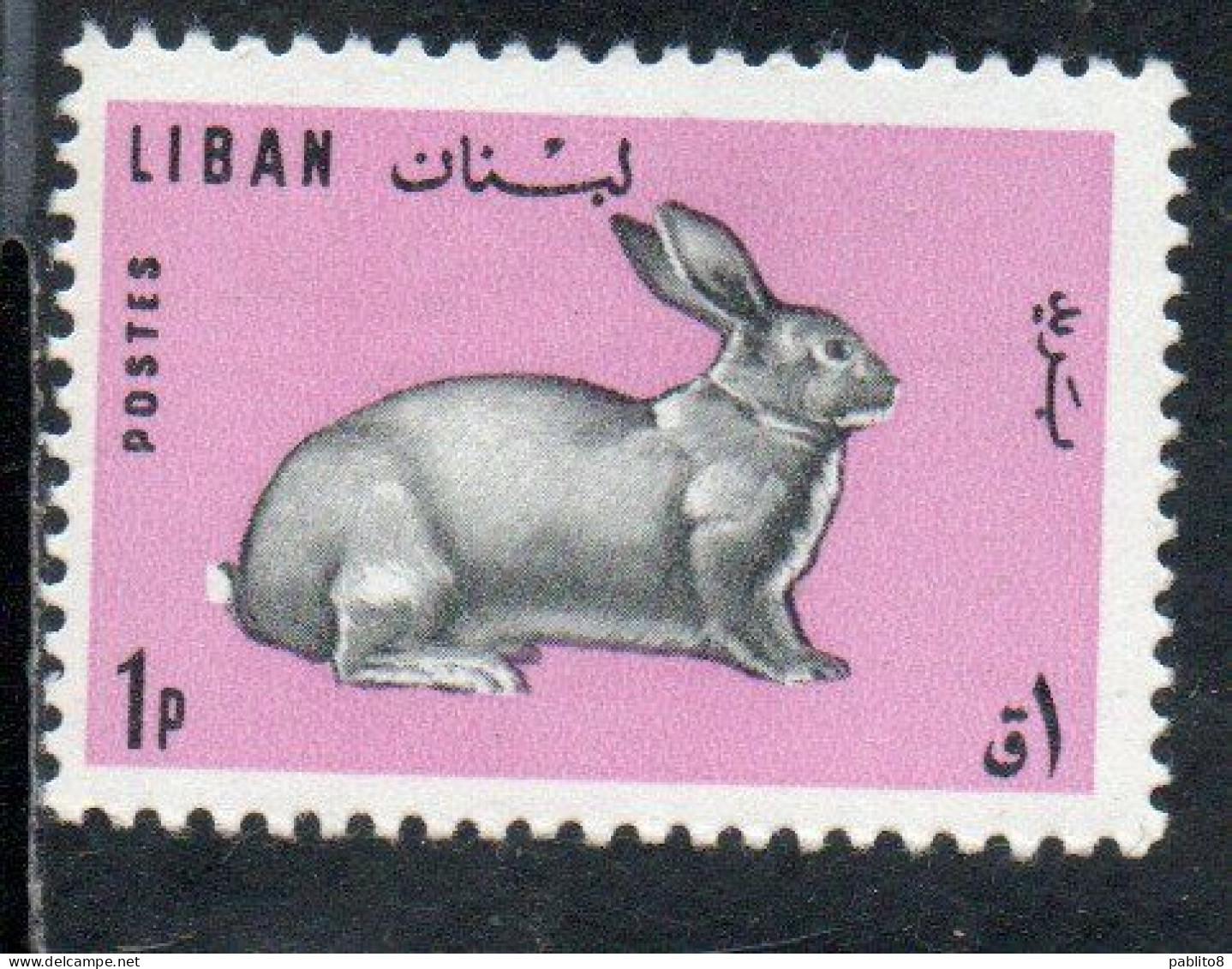 LIBANO LEBANON LIBAN 1965 FAUNA FARM ANIMALS RABBIT 1p MNH - Liban