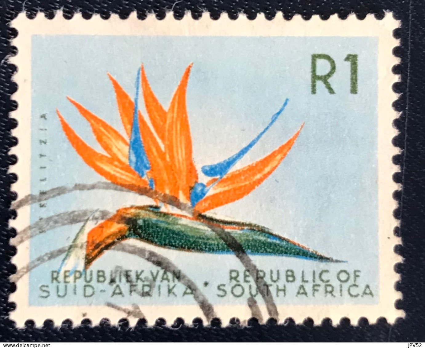 RSA - South Africa - Suid-Afrika  - C18/8 - 1961 - (°)used - Michel 299 - Paradijsvogelbloem - Oblitérés