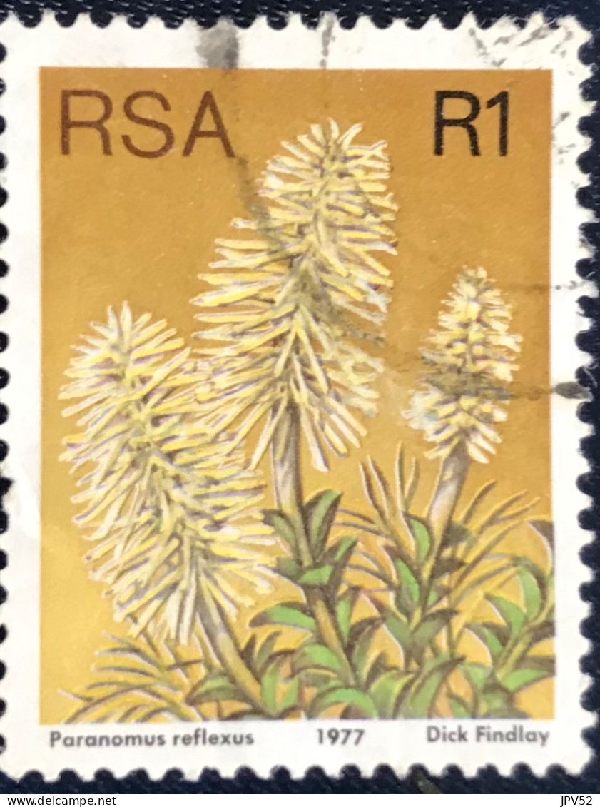 RSA - South Africa - Suid-Afrika  - C18/8 - 1977 - (°)used - Michel 527 - Protea - Oblitérés