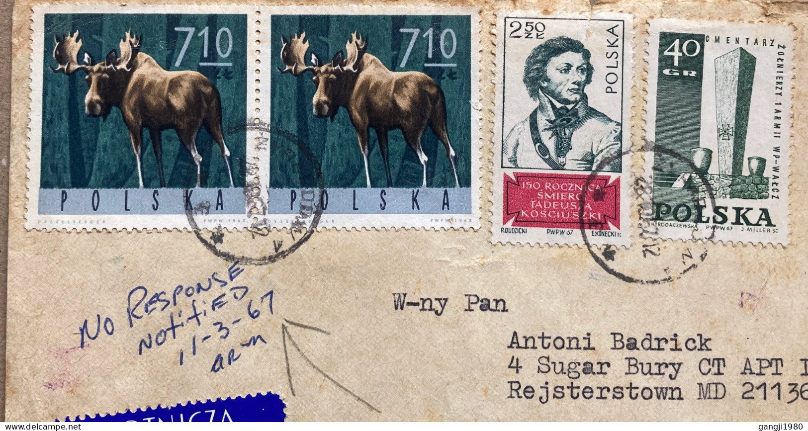 POLAND 1967, COVER USED TO USA, REGISTER, EXPRESS, AIRMAIL, 3 LABEL, FOREST ANIMAL ELK, KOSCIUSZKO, MEMORIAL, ZYRARDOW C - Covers & Documents