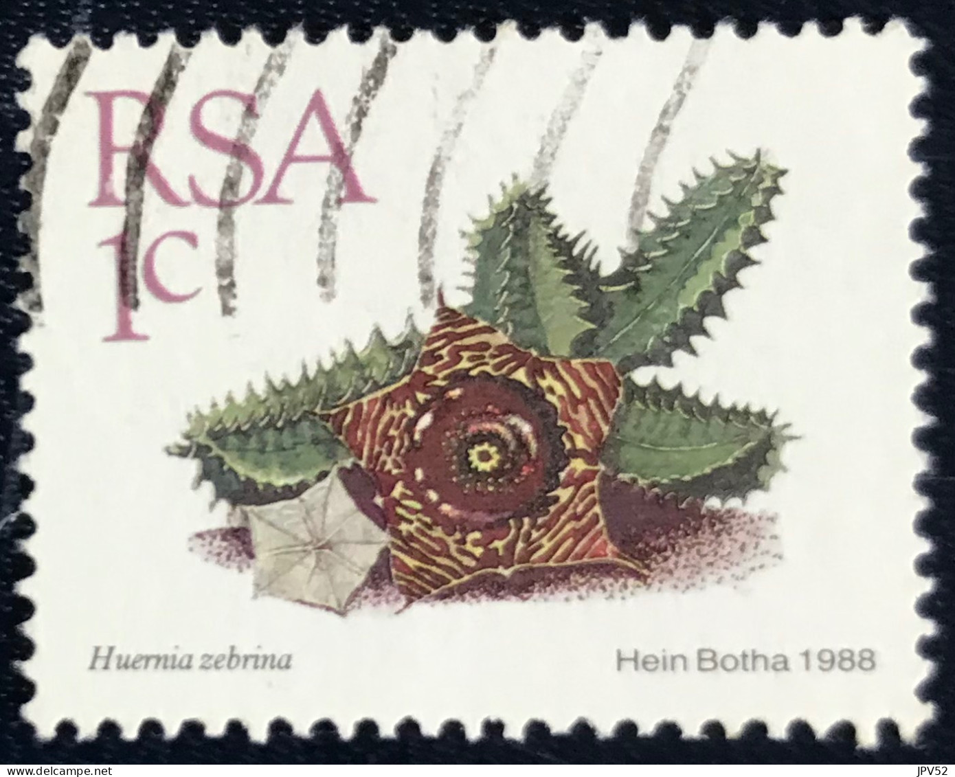 RSA - South Africa - Suid-Afrika - C18/8 - 1988 - (°)used - Michel 743 - Vetplanten - Oblitérés