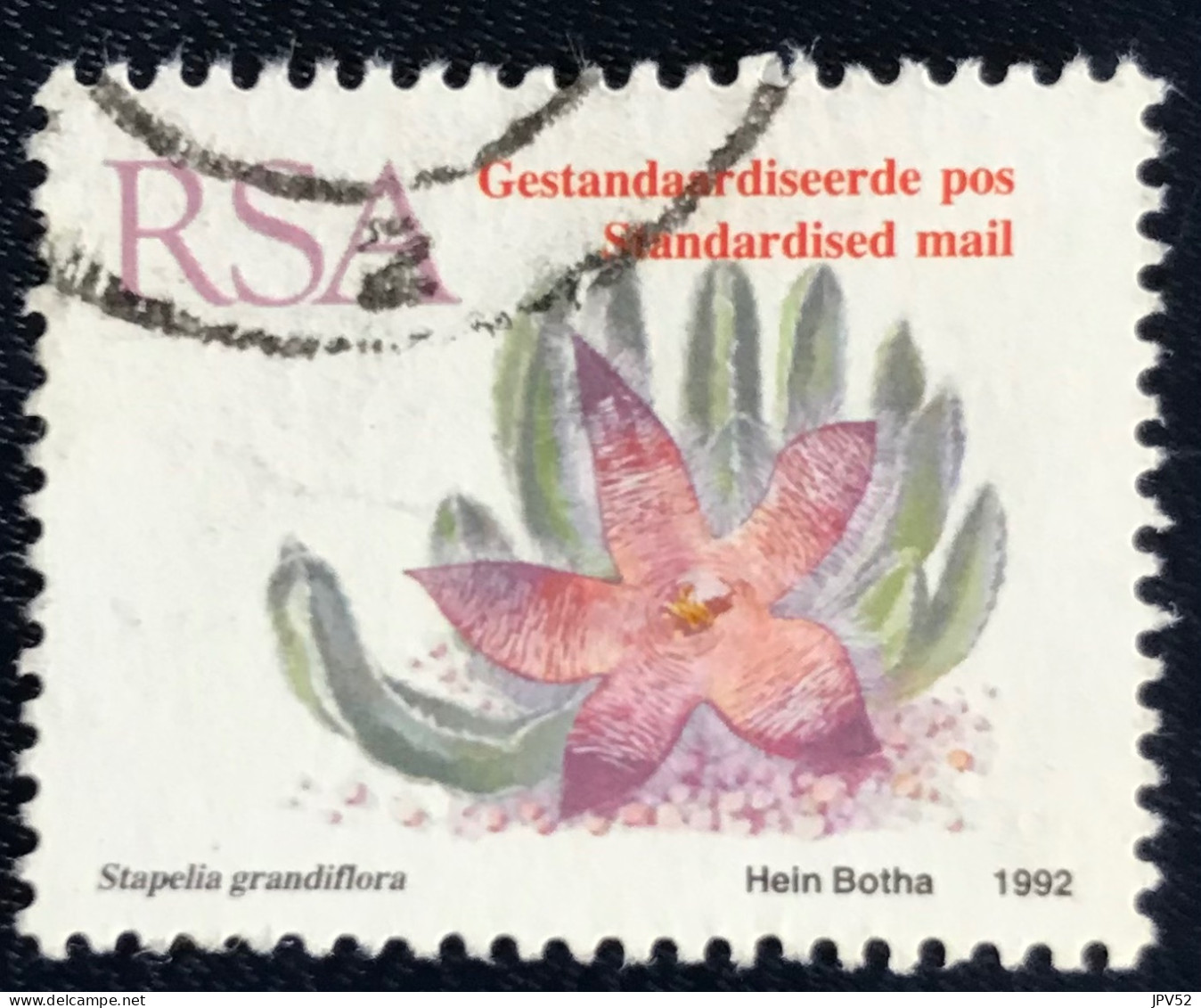 RSA - South Africa - Suid-Afrika - C18/8 - 1993 - (°)used - Michel 864 - Vetplanten - Usati