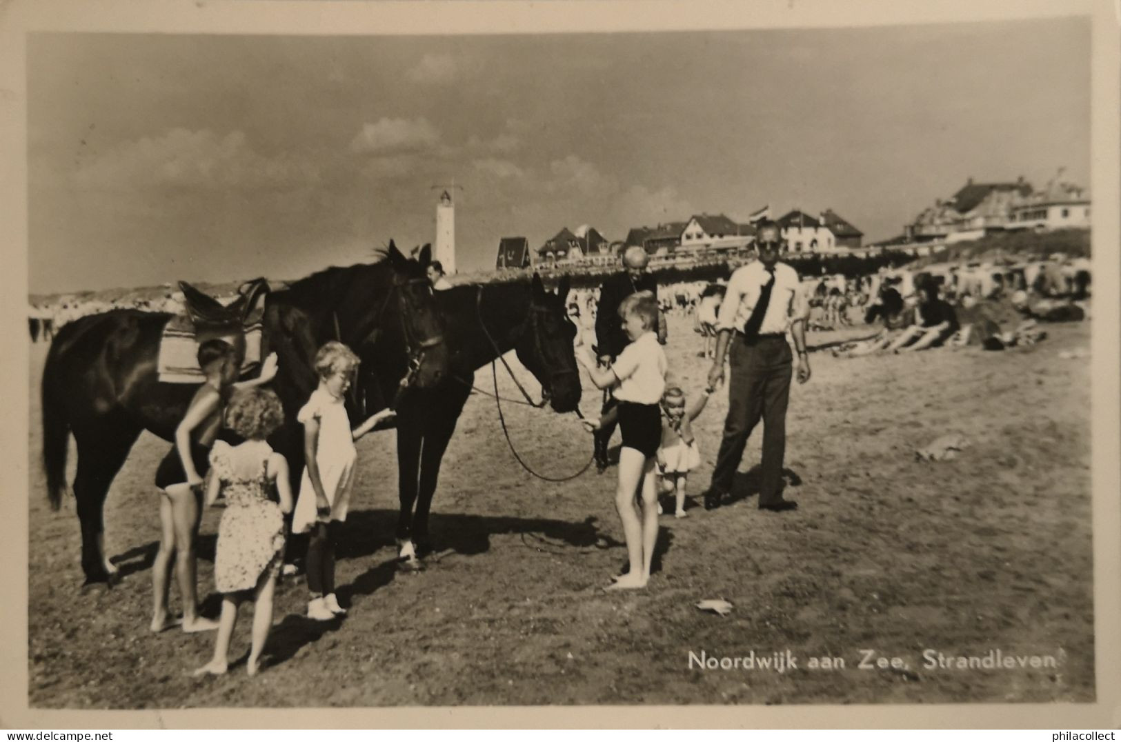 Noordwijk Aan Zee // Strandleven (Paarden) 195? - Noordwijk (aan Zee)