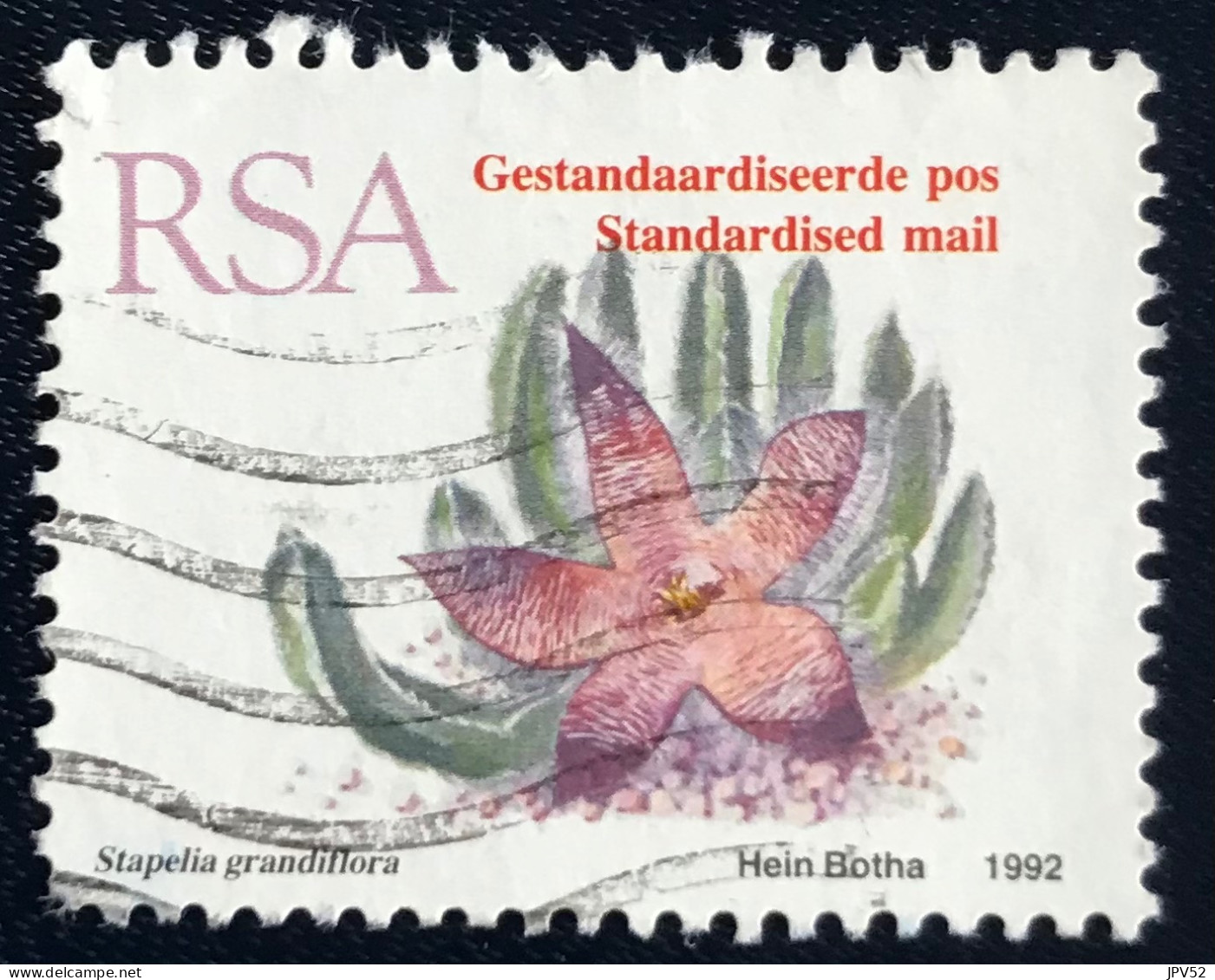 RSA - South Africa - Suid-Afrika - C18/8 - 1993 - (°)used - Michel 864 - Vetplanten - Usados