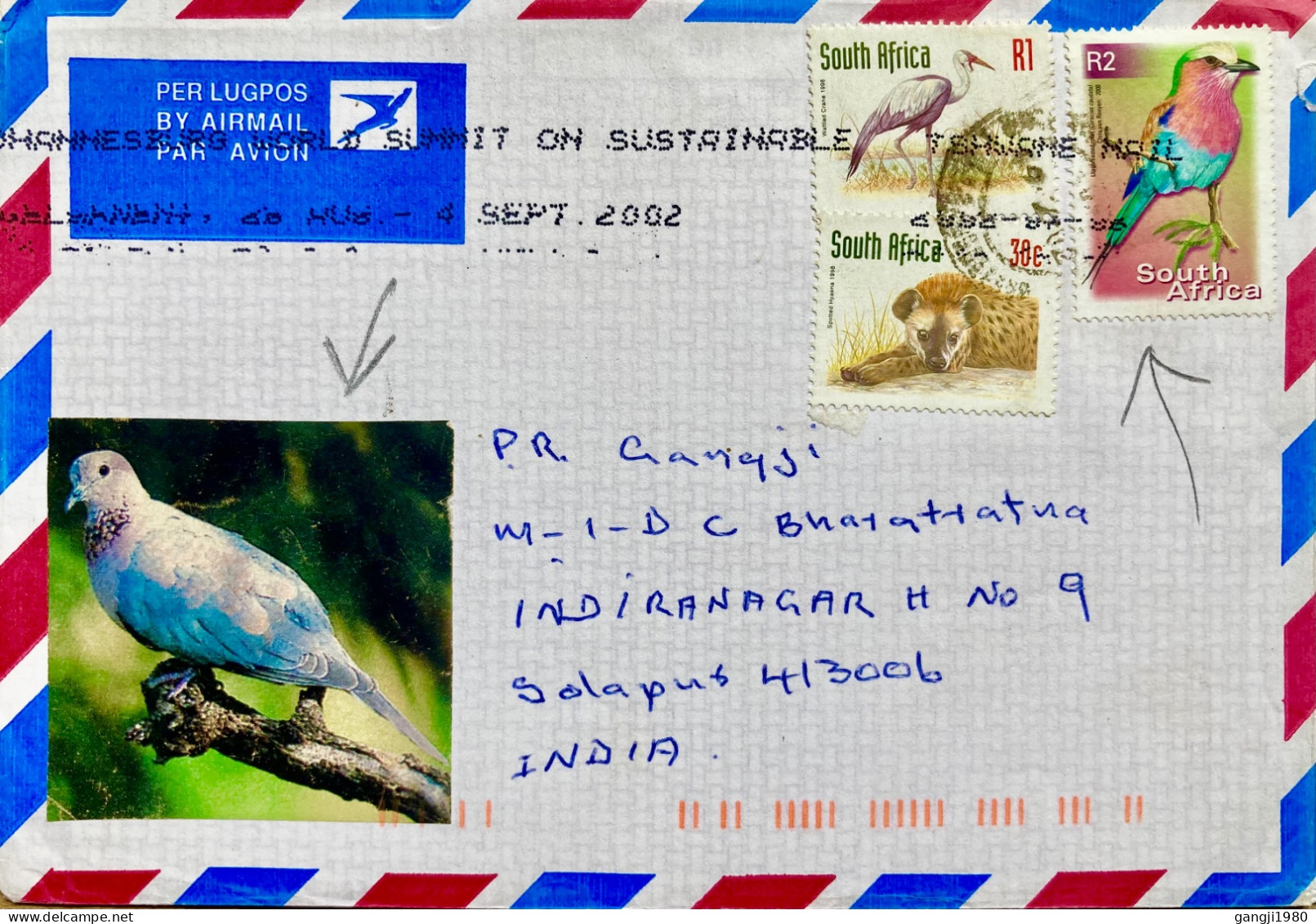 SOUTH AFRICA  2002, ILLUSTRATE BIRD COVER,  USED TO INDIA, 3 STAMP BIRD & ANIMAL,  PRETORIA CITY SLOGAN CANCEL. - Cartas & Documentos
