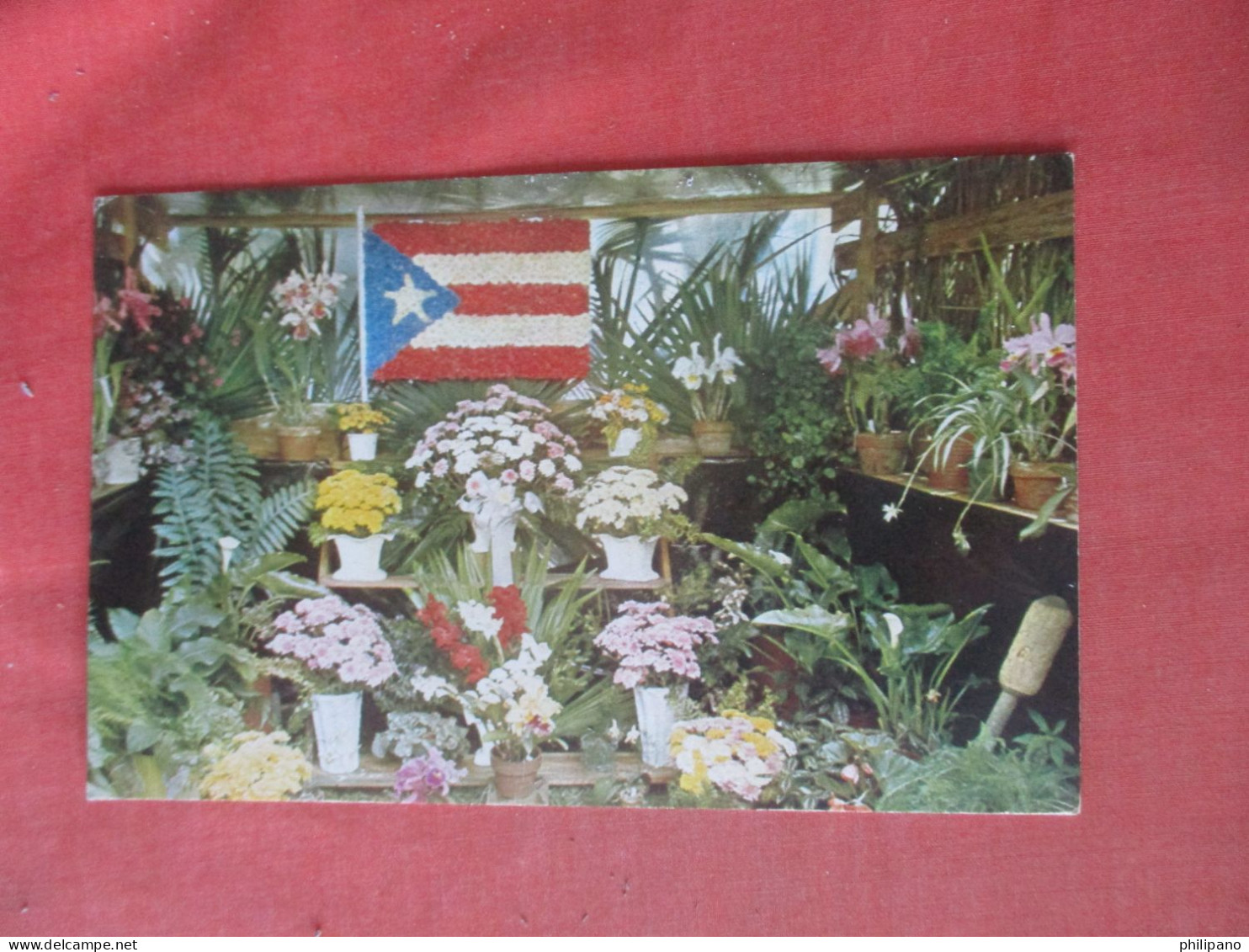 Annual Flower Exhibition Aibonito  > Puerto Rico  Ref 6141 - Puerto Rico