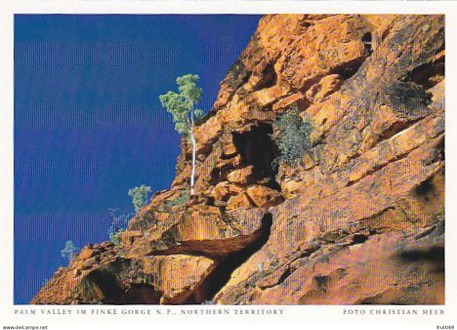 AK149991 AUSTRALIA - Northern Territory - Palm Valley Im Finke Gorge N. P. - Non Classificati