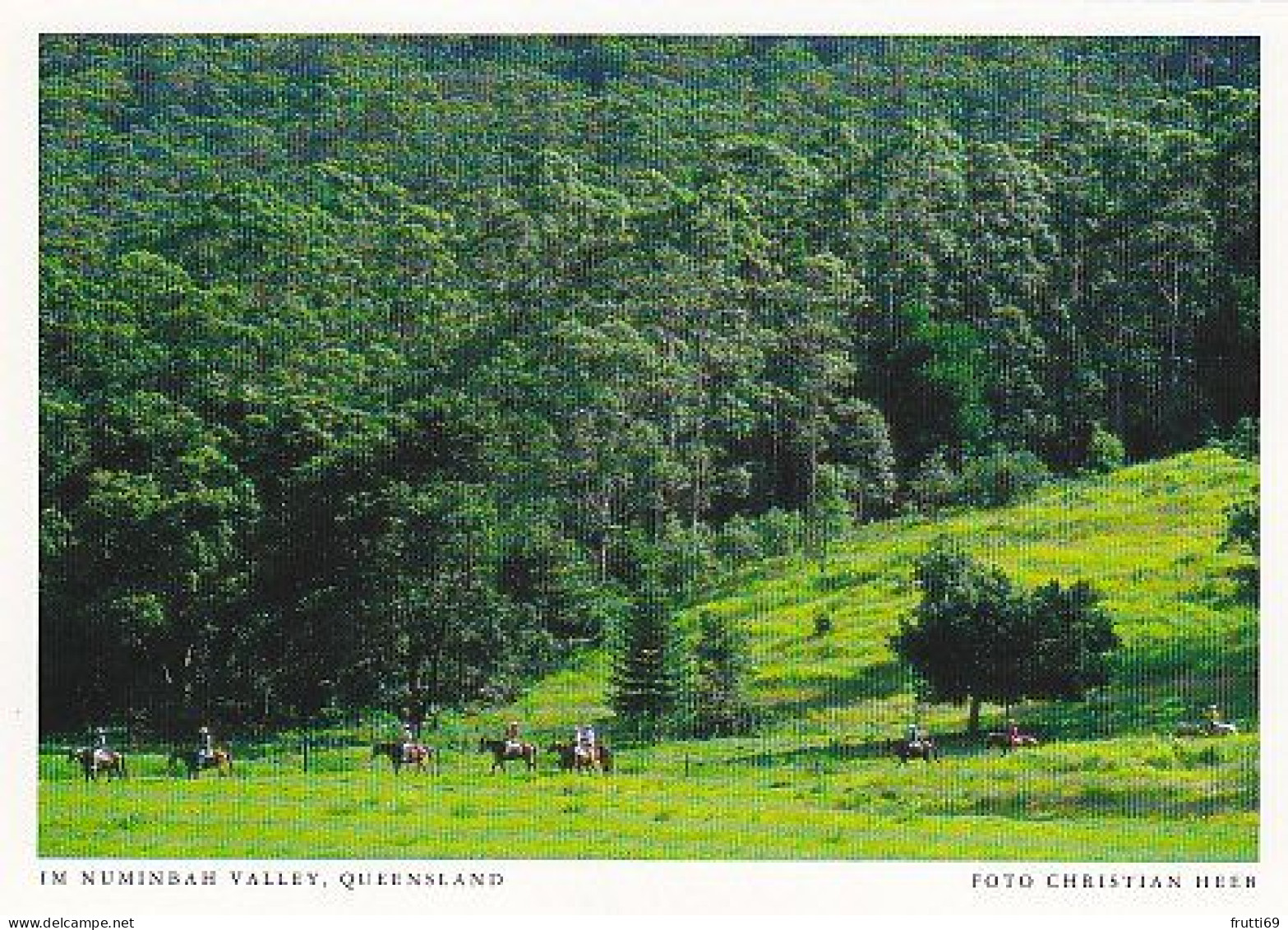 AK149995 AUSTRALIA - Queensland - Im Numinbah Valley - Altri & Non Classificati