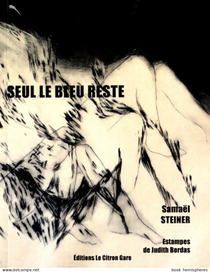 Seul Le Bleu Reste De Samaël Steiner (2016) - Autres & Non Classés