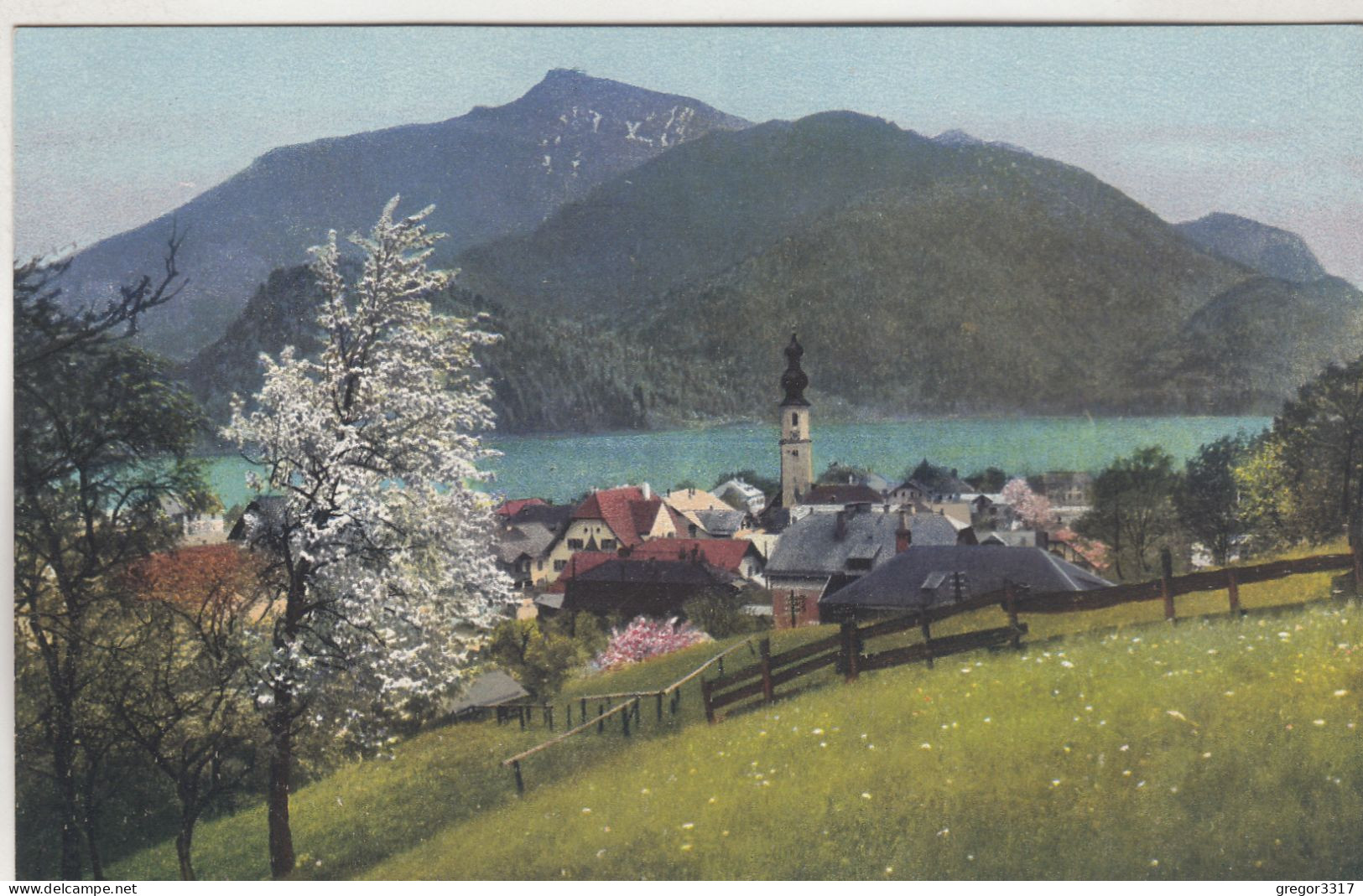 D2729) ST. GILGEN - Salzkammergut - 1915  - Tolle Alte Ansicht Blühender Baum U. Wiese Richtung Häuser U. Kírche - St. Gilgen