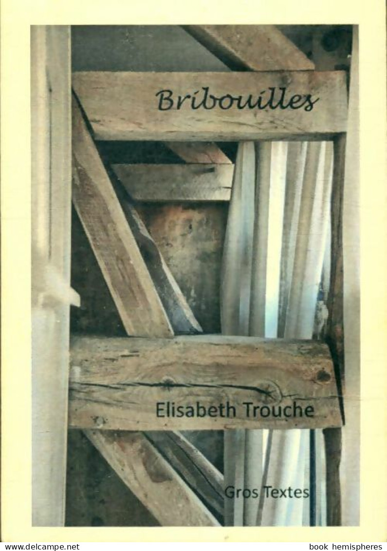 Bribouilles De Elisabeth Trouche (2012) - Autres & Non Classés