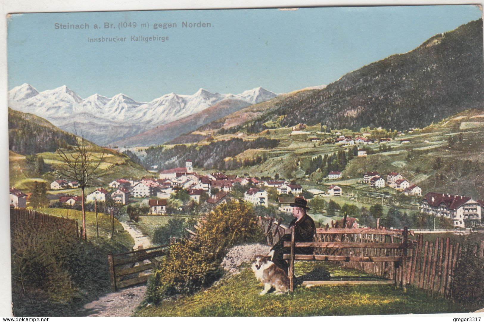 D2739) STEINACH Am BRENNER Gegen Norden - Innsbrucke Kalkgebirge - Mann Mit HUND Im Vordergrund 1913 - Steinach Am Brenner