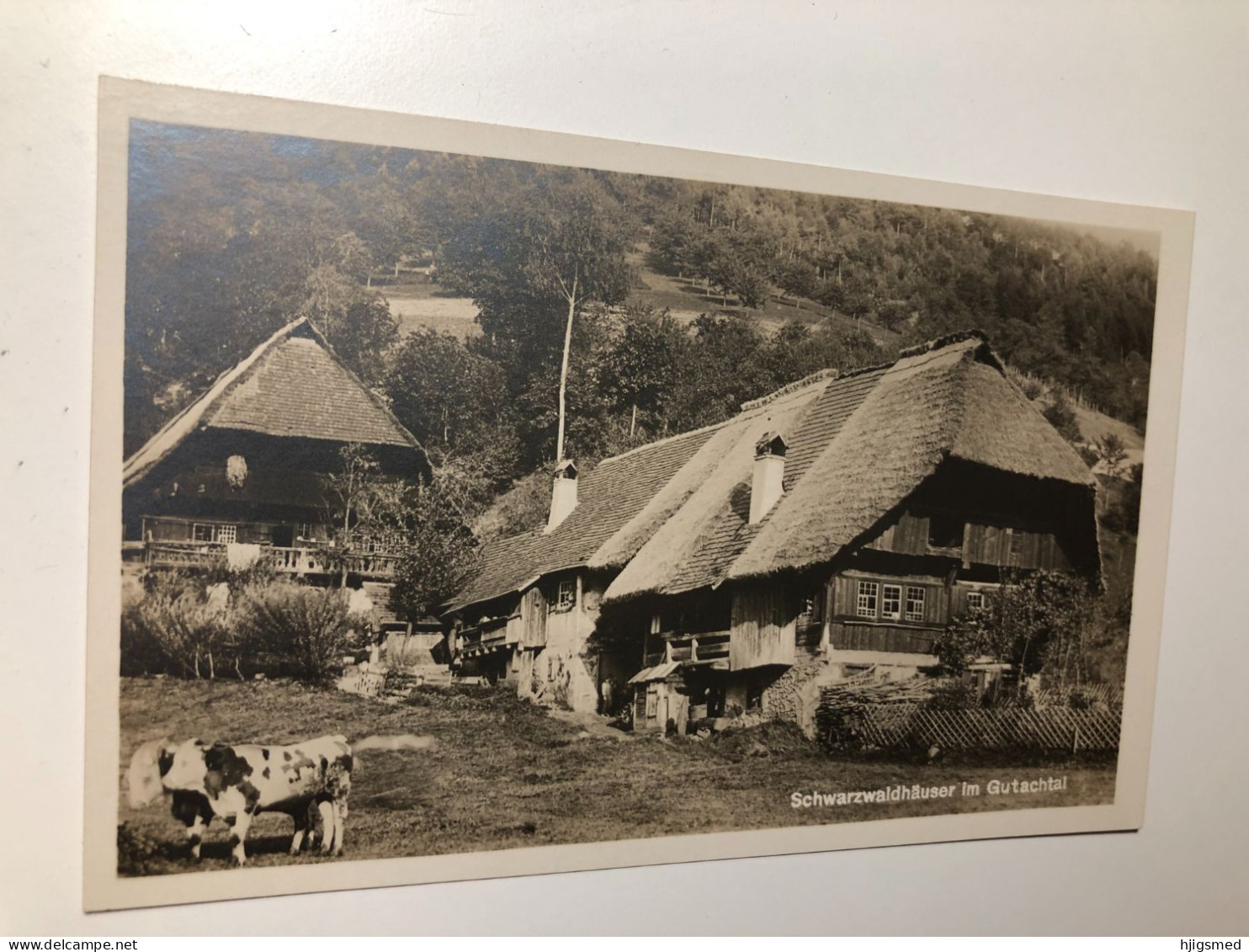 Germany Deutschland Gutach Gutachtal Schwarzwald Wald Bayern Bavaria Haus House Cow Kuh 16831 Post Card POSTCARD - Gutach (Schwarzwaldbahn)