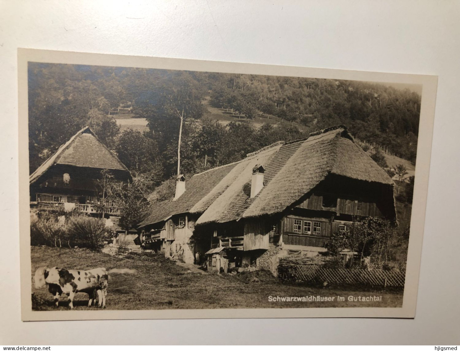 Germany Deutschland Gutach Gutachtal Schwarzwald Wald Bayern Bavaria Haus House Cow Kuh 16831 Post Card POSTCARD - Gutach (Schwarzwaldbahn)