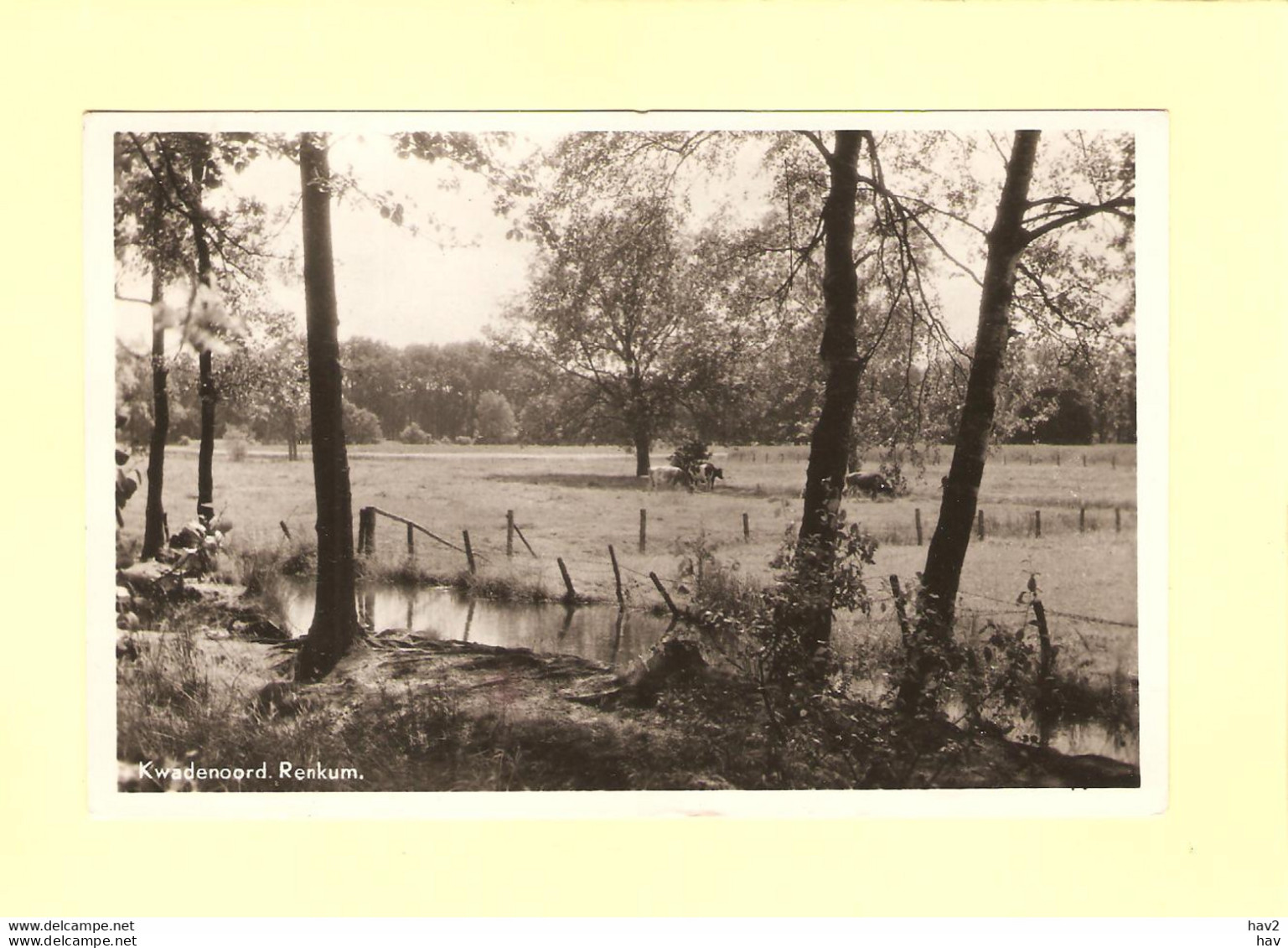 Renkum Bosgezicht Bij Kwadenoord RY39337 - Renkum