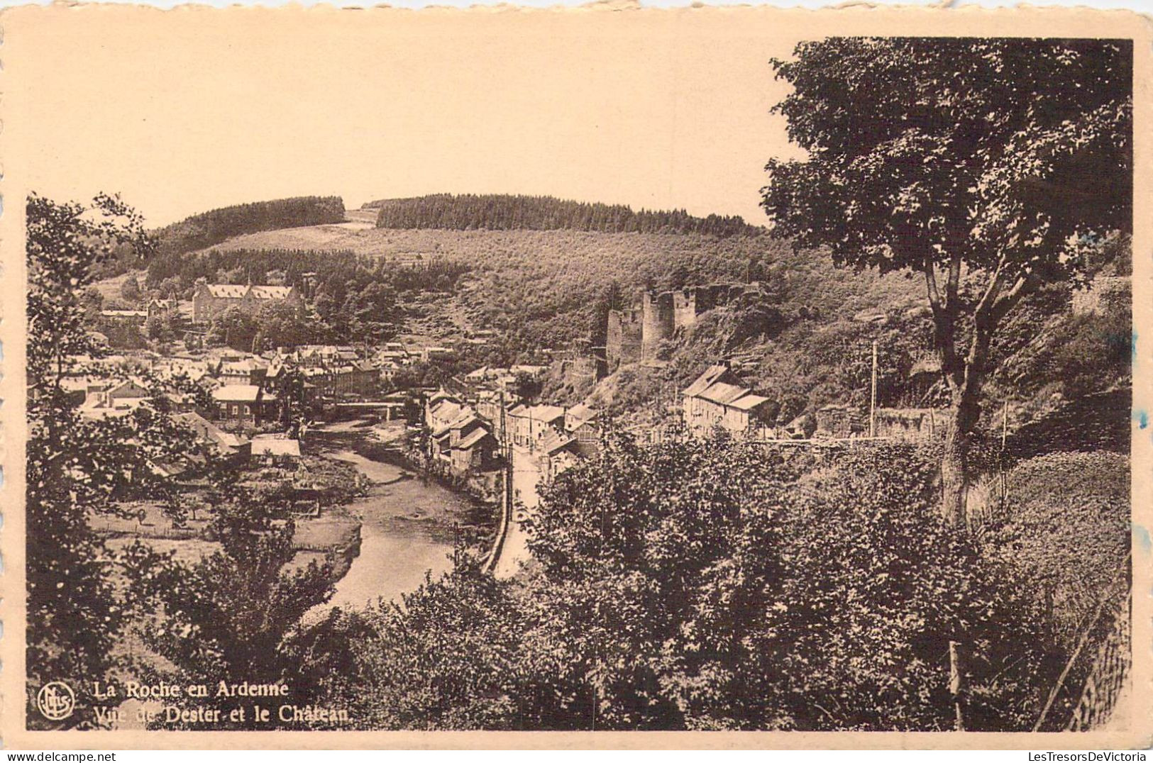 BELGIQUE - La-Roche-en-Ardenne - Vue De Dester Et Le Château - Carte Postale Ancienne - La-Roche-en-Ardenne