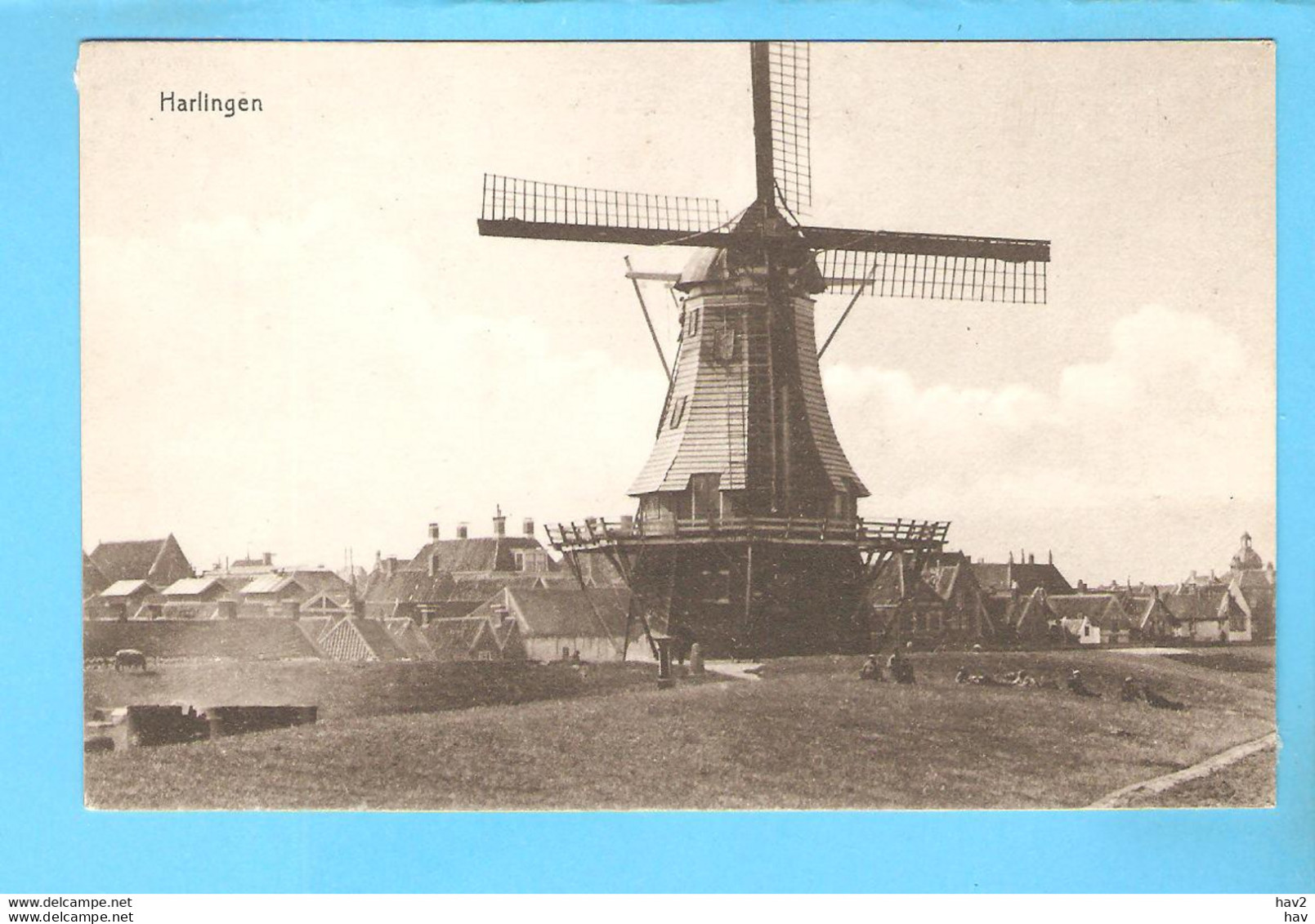 Harlingen Molen M318 - Harlingen