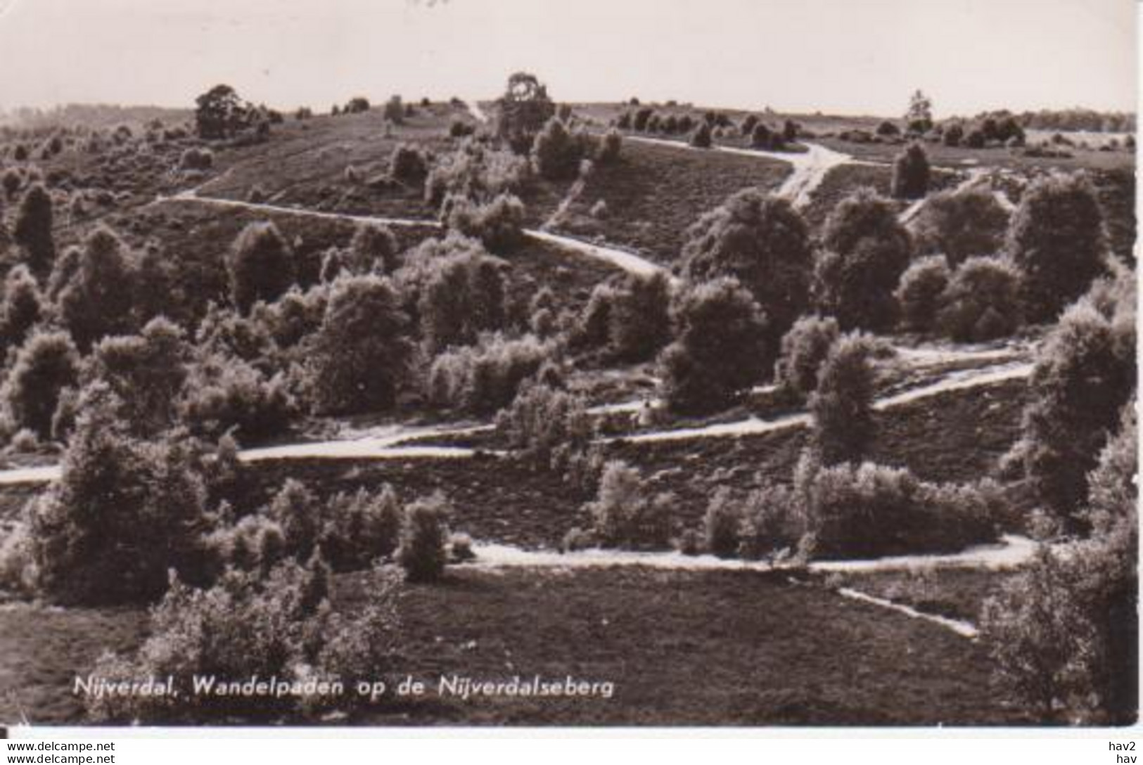 Nijverdal Nijverdalseberg Wandelpaden '59 RY15639 - Nijverdal