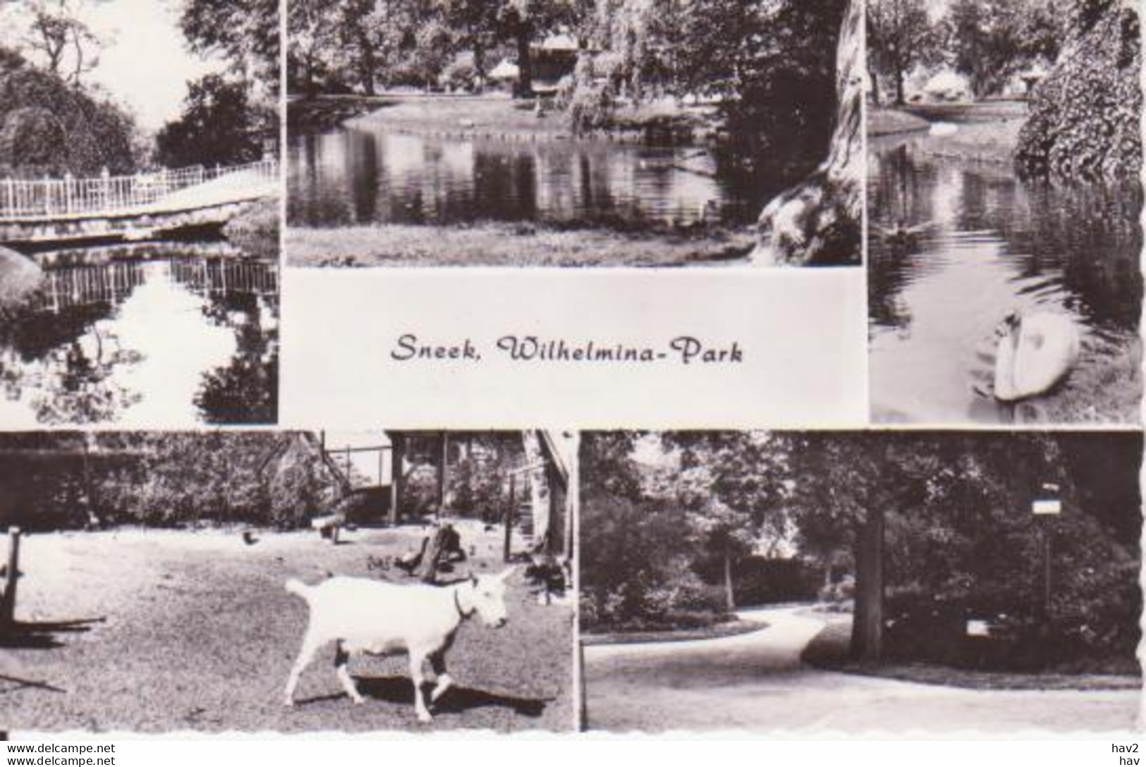 Sneek 5-luik Wilhelminapark RY15631 - Sneek