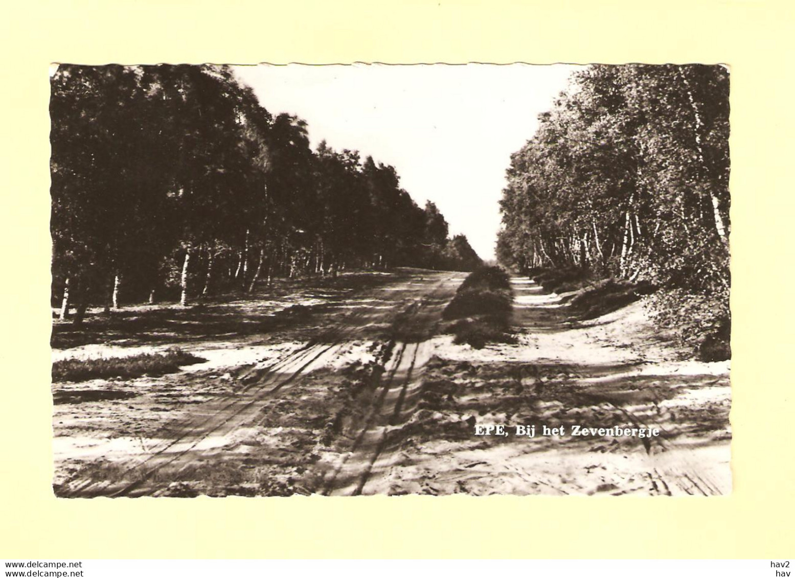 Epe Landschap Bij Zevenbergje RY31088 - Epe