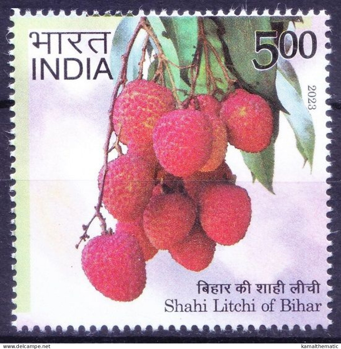 India 2023 MNH, Bihar Shahi Litchi Contains Antioxidant Medicinal Properties - Plantes Médicinales