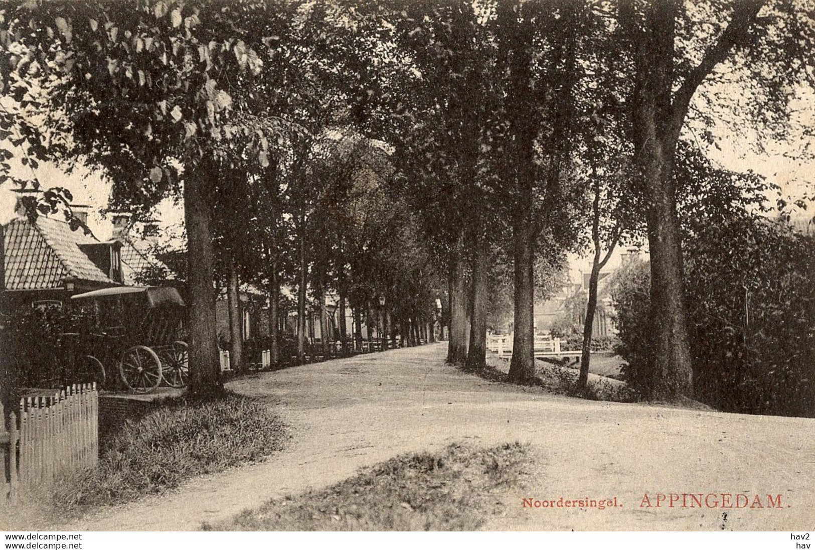 Appingedam Noordersingel Rijtuig Op De Opri AM4598 - Appingedam