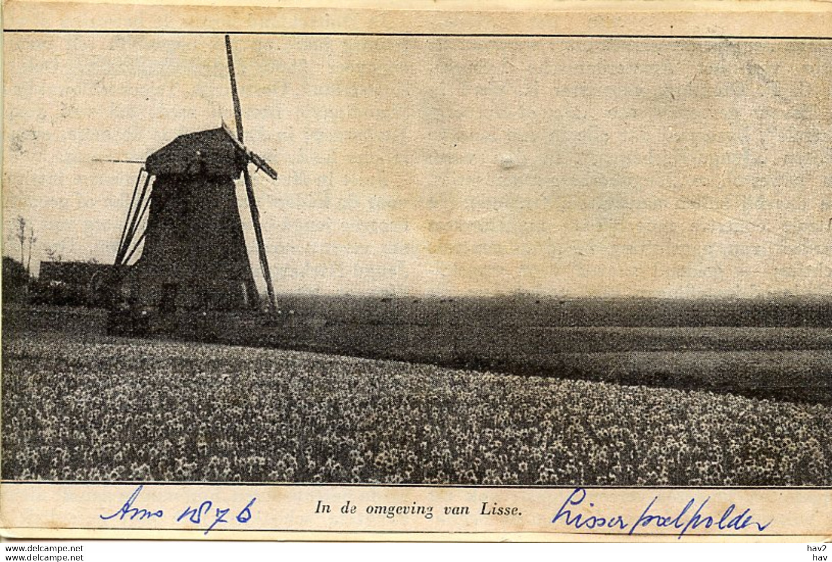 Lisse Molen Lisserpoelpolder 1852 - Lisse