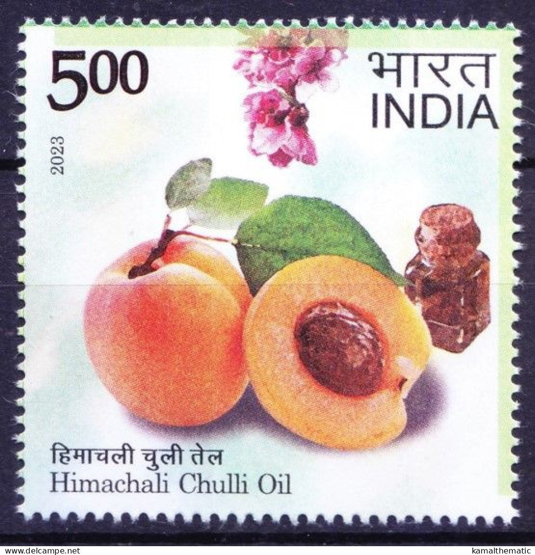 India 2023 MNH, Himachali Chuli Oil Used As Medicine In Stiff, Tender Aching Joints - Geneeskrachtige Planten