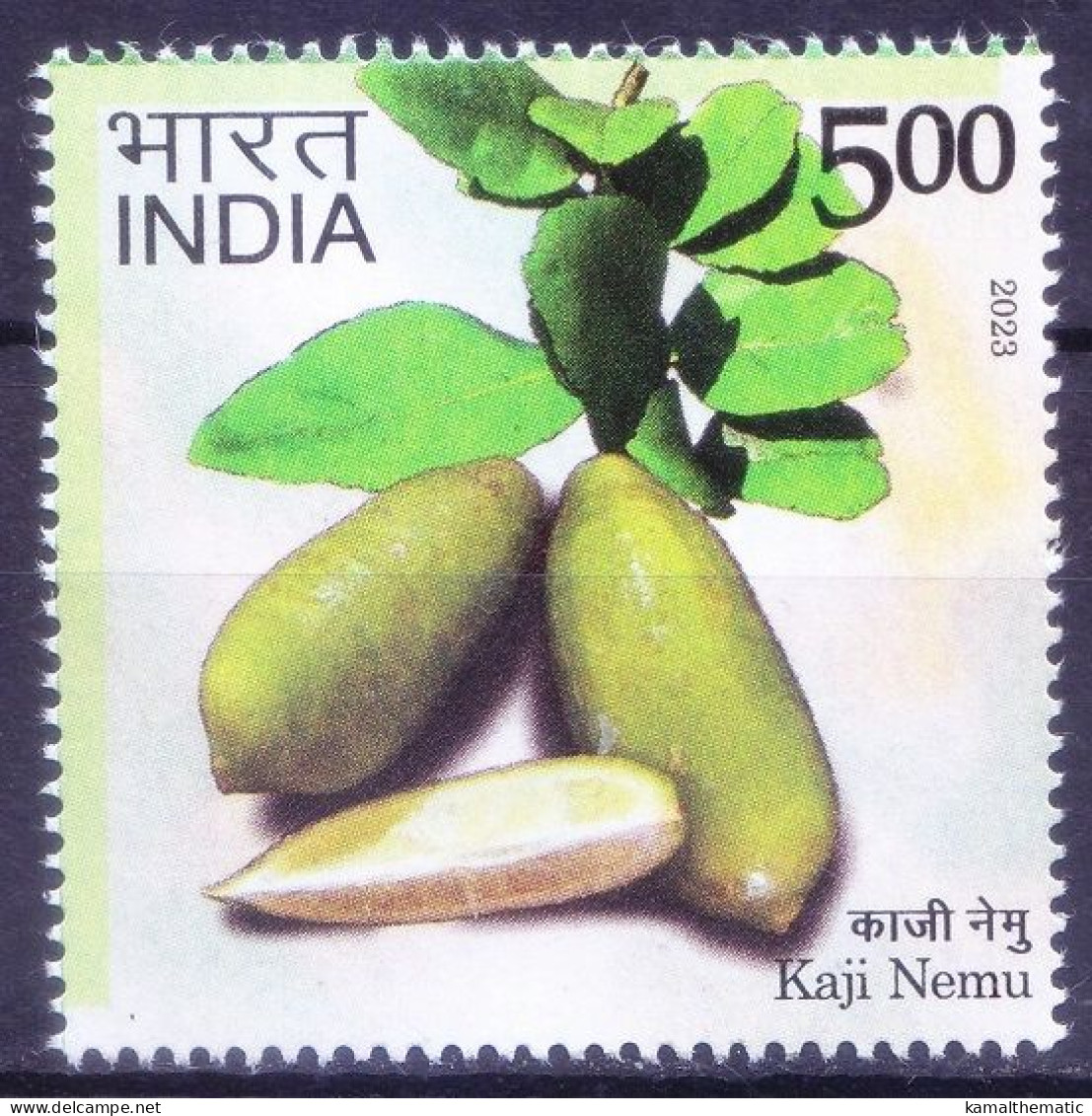 India 2023 MNH, Kaji Nemu Used As Medicine To Increase Immunity, Rich In Vitamin C - Plantes Médicinales