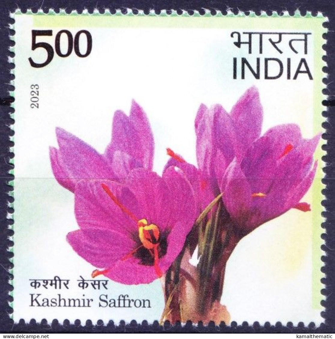 India 2023 MNH, Kashmir Saffron, Kesar, Used As Medicine In Skin Conditions - Medicinal Plants