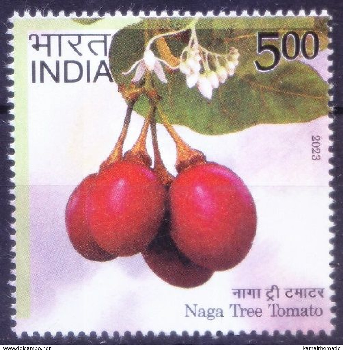 India 2023 MNH, Naga Tree Tomato.helps Regulate Blood Pressure, Boosts Metabolism - Heilpflanzen