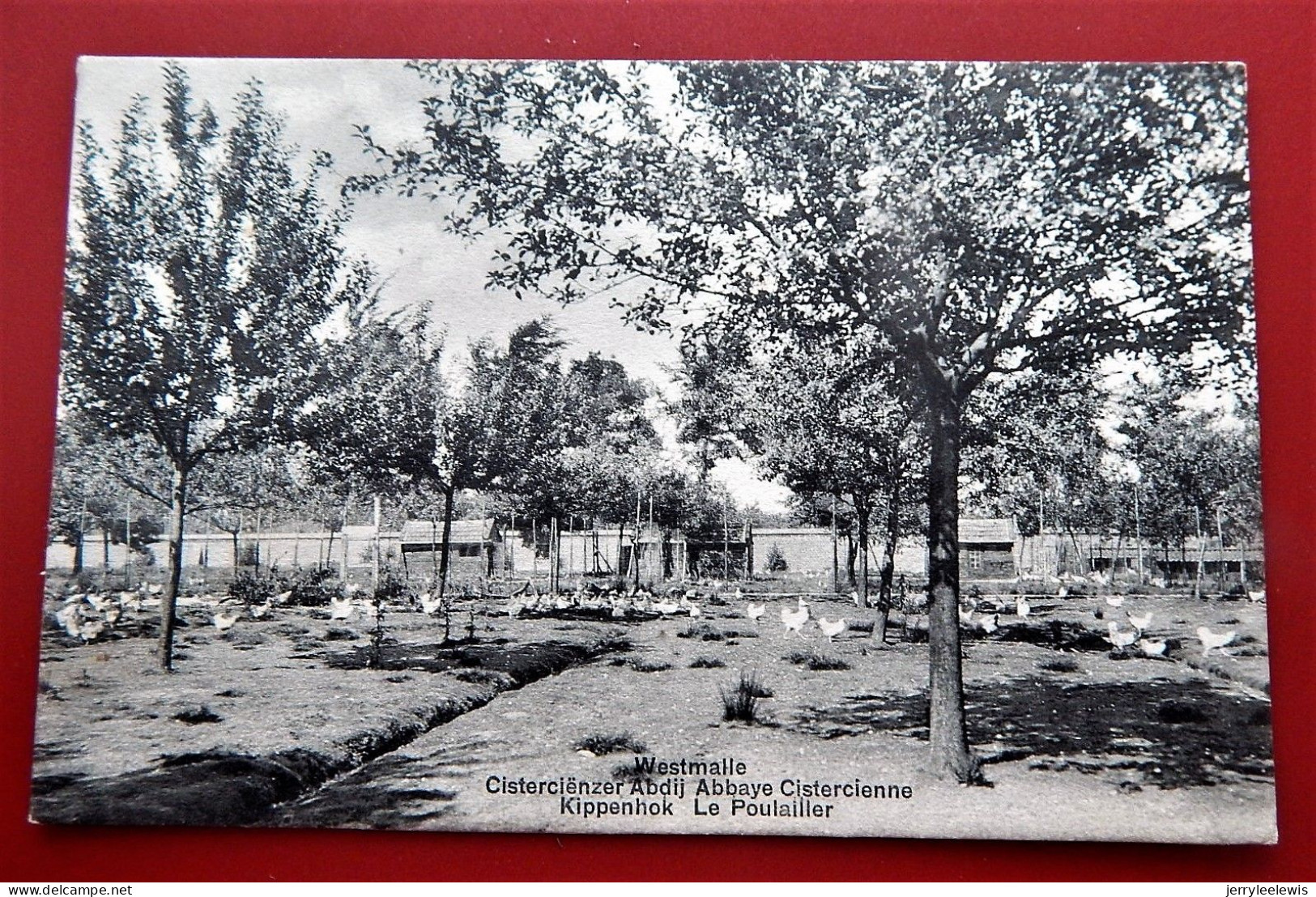WESTMALLE  -   Cisterciënzer Abdij, Kippenhok  -  Abbaye Cistercienne, Le Poulailler  -  1912 - Malle
