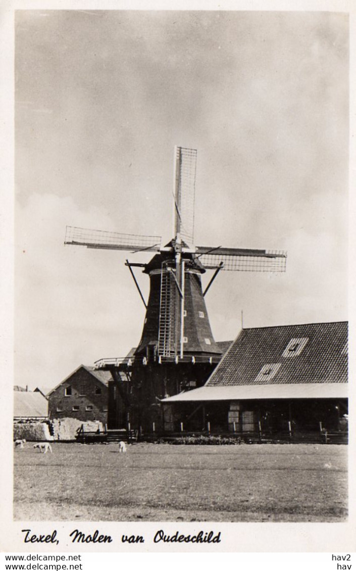 Texel Molen Van Oudschild 4120 - Texel