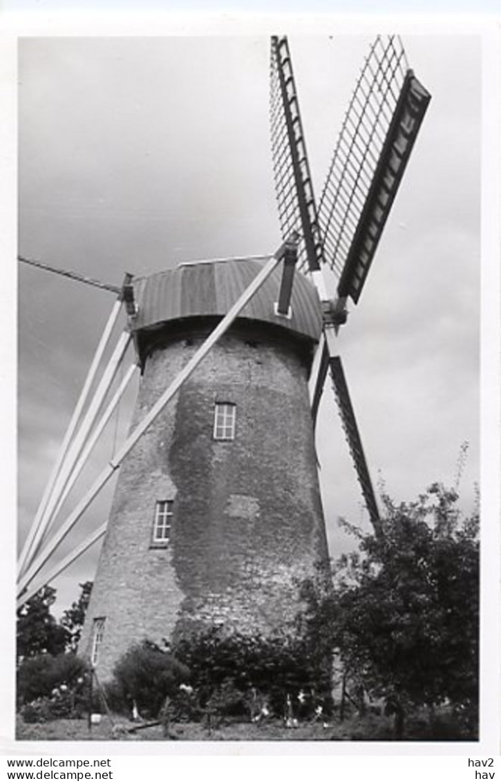 Wijk Bij Duurstede Molen AM2683 - Wijk Bij Duurstede